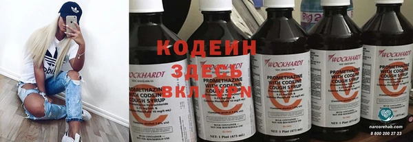 метадон Алексин