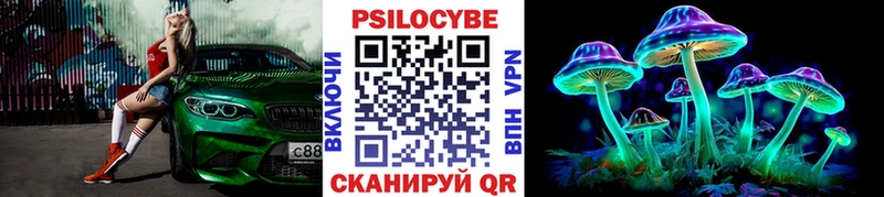 Галлюциногенные грибы Psilocybe  Тара 