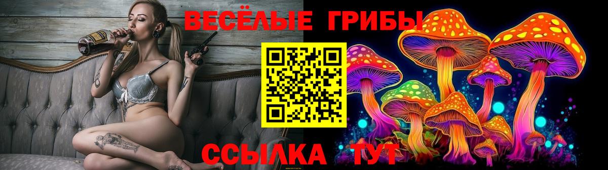 Псилоцибиновые грибы Psilocybine cubensis Тара