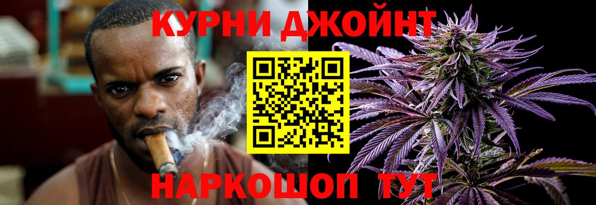 Каннабис гибрид Тара
